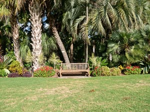 lawn