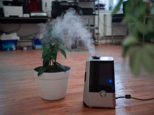 purifier