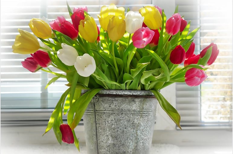 flower vase